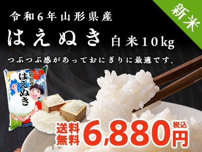 はえぬき白米10kg